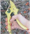 Choosing the Best Power Pruning Shears Image